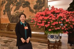 全国政协委员姜妍：加大资金和政